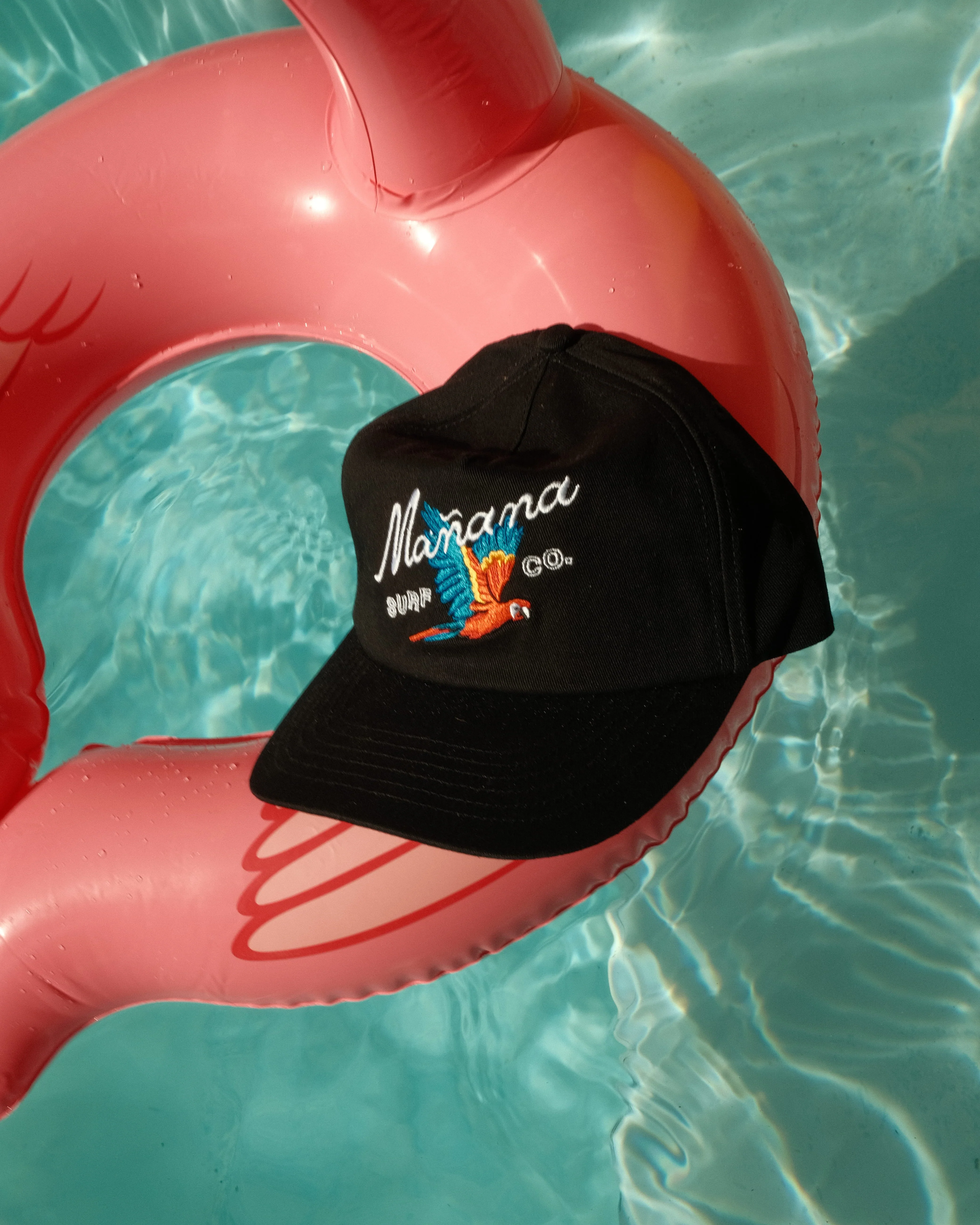 Mañana Macaw Cap - Black - Image 4