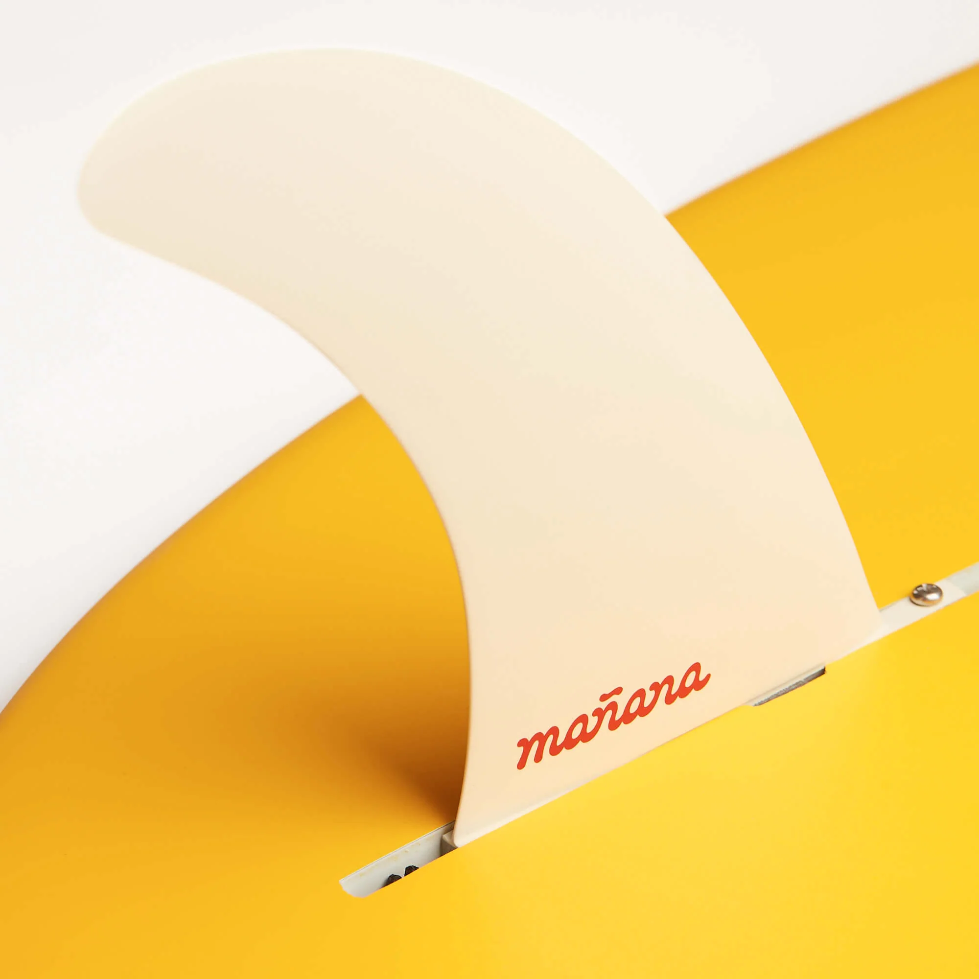 Pintail - Image 6